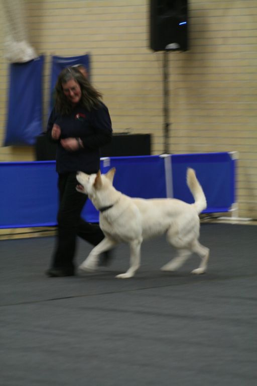 htm09 Sheila