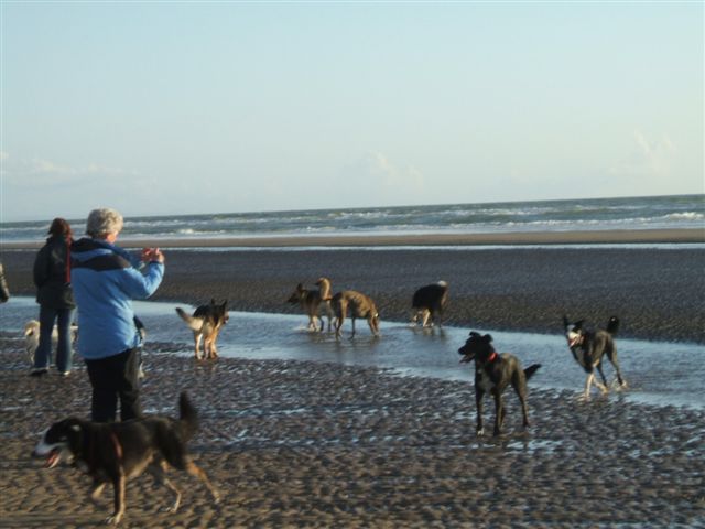 Beach Walk. May 08